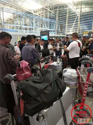 齊齊哈爾赴新西蘭勞務(wù)派遣 瓦工、電工與工廠工人的機(jī)遇與路徑